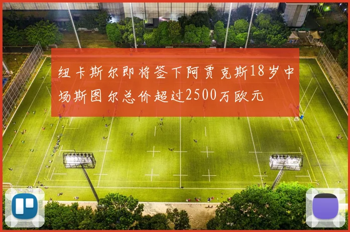纽卡斯尔即将签下阿贾克斯18岁中场斯图尔总价超过2500万欧元