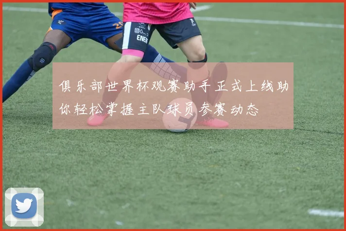 俱乐部世界杯观赛助手正式上线助你轻松掌握主队球员参赛动态