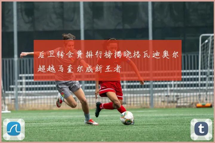 后卫转会费排行榜揭晓格瓦迪奥尔超越马奎尔成新王者